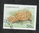 Stamps : Asia : Azerbaijan :  215 - Tortuga