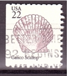 Stamps United States -  serie- Conchas