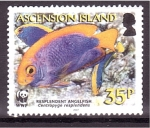 Stamps United Kingdom -  W.W.F.