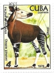 Stamps : America : Cuba :  Okapi