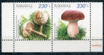 Stamps Armenia -  varios