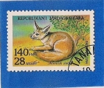Stamps Africa - Madagascar -  Animales