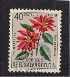 Sellos de America - El Salvador -  Flor de Pascua