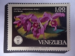 Stamps Venezuela -  Lirio Morado - Cattleya Lawrenceana RCHB.F.-Serie:Orquídeas 1971.
