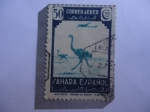 Stamps Spain -  Ed:77 - España Colonias-Sahara Español- AVESTRUS (Struthio Camalus)