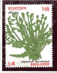 Sellos de Asia - Bangladesh -  Produc. Vegetal.