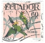 Stamps : America : Ecuador :  aves