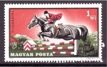 Stamps Hungary -  serie- Deportes ecuestres