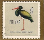 Stamps Poland -  Ave