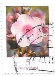 Stamps Germany -  flor