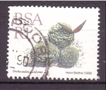 Stamps South Africa -  serie- Plantas de hojas carnosas
