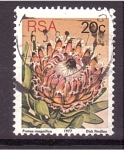 Stamps South Africa -  serie- Plantas proteas