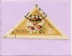 Stamps Poland -  Hongos