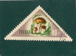 Stamps Poland -  Hongos