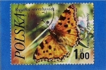 Stamps Poland -  Mariposa