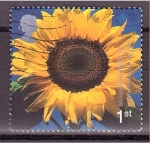 Stamps United Kingdom -  Milenio- Proyecto Eden