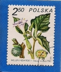 Sellos de Europa - Polonia -  Plantas