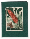 Stamps San Marino -  Maiz