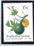 Stamps : Africa : Botswana :  Frutas