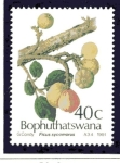 Sellos de Africa - Botswana -  Frutas
