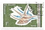 Stamps : Africa : Ivory_Coast :  concha