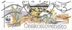 Stamps Czechoslovakia -  ranas