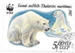 Stamps : Europe : Russia :  oso polar