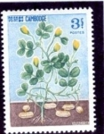 Stamps Cambodia -  Frutas