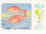 Stamps Laos -  PEZ CIPRINUS CARPIO
