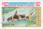 Stamps Cambodia -  PEZ SILURE