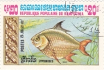 Stamps Cambodia -  PEZ CYPRINIDES