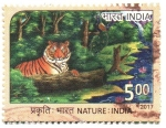 Sellos de Asia - India -  NATURALEZA.  TIGRE.