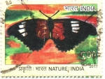 Stamps India -  NATURALEZA.  MARIPOSA.