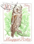 Stamps Hungary -  aves