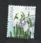 Stamps Latvia -  980 - Flores