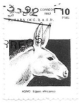 Stamps Morocco -  mamíferos