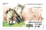 Stamps : Africa : Morocco :  cachorros