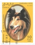 Stamps Morocco -  perros