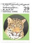 Sellos de Africa - Marruecos -  felinos