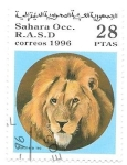 Stamps : Africa : Morocco :  felinos