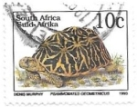 Stamps : Africa : South_Africa :  fauna
