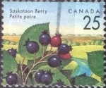 Stamps Canada -  Scott#1355 , intercambio 0,20 usd , 25 cents. , 1992