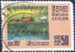 Stamps Sri Lanka -  Scott#441 , intercambio 1,40 usd , 50 cents. , 1970