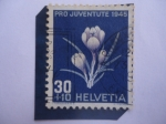 Stamps : Europe : Switzerland :  Pro Juventute 1945- Azafrán Holandés (Crocus Neapolitanus) - Ludwig Forrer, Susana Orelle