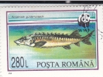 Stamps Romania -  WWF ACIPENSER 