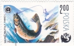 Stamps : Europe : Poland :  PESCA SALMÓN 