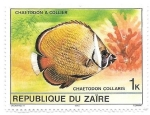 Stamps Democratic Republic of the Congo -  pez tropical