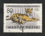 Sellos de Europa - Hungr�a -  1417 - Jardín zoológico de Budapest, tigres