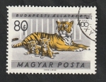 Stamps Hungary -  1417 - Jardín zoológico de Budapest, tigres