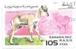 Stamps : Africa : Morocco :  cachorros